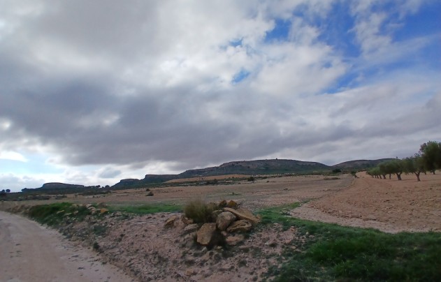 Resale - Land - Yecla