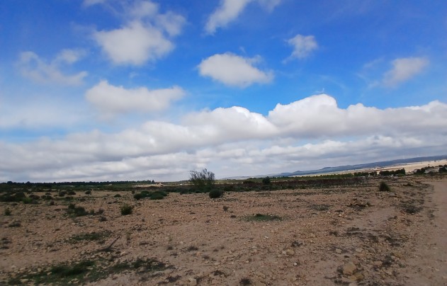 Resale - Land - Yecla