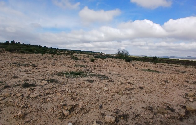 Resale - Land - Yecla