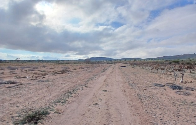 Resale - Land - Yecla