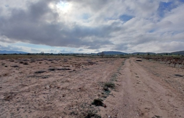 Resale - Land - Yecla