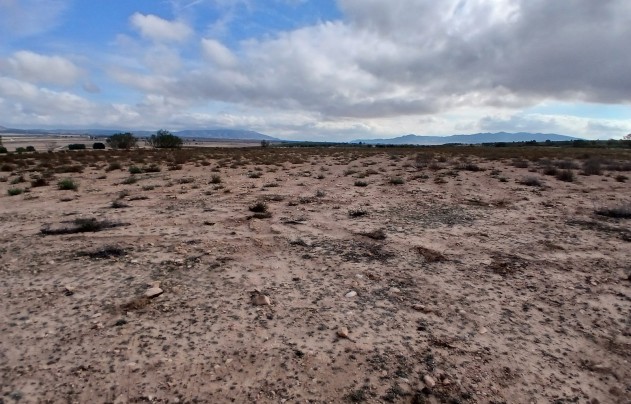 Resale - Land - Yecla