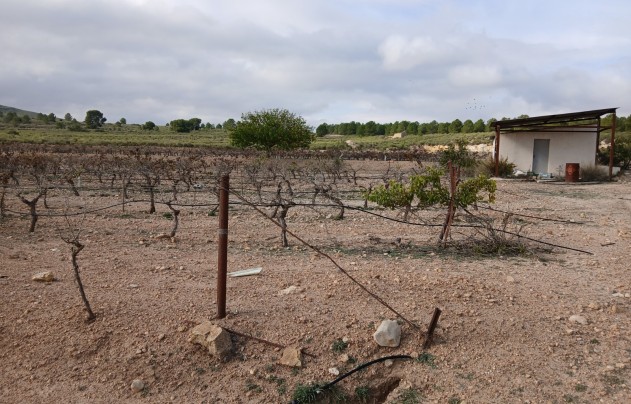 Resale - Land - Yecla