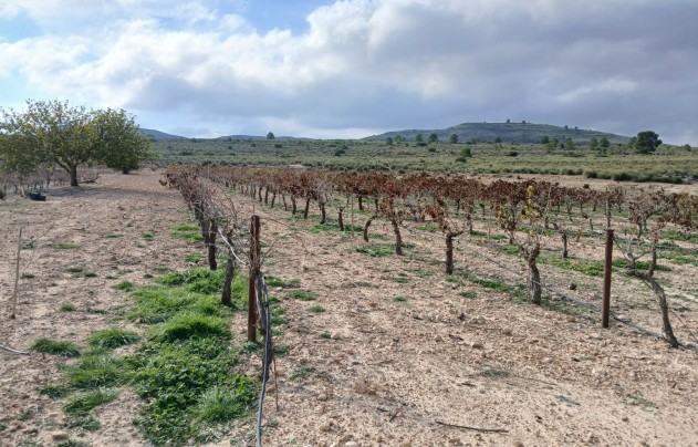 Resale - Land - Yecla
