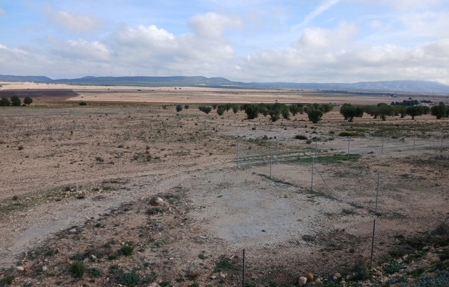 Resale - Land - Yecla