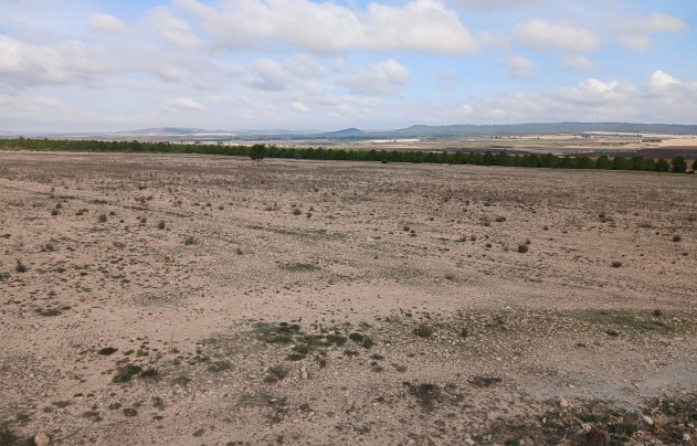 Resale - Land - Yecla