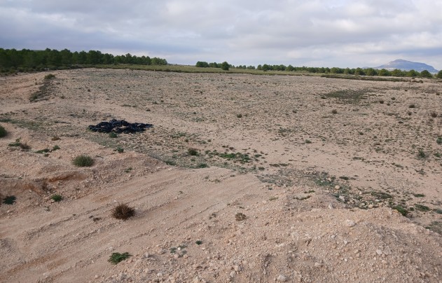 Resale - Land - Yecla