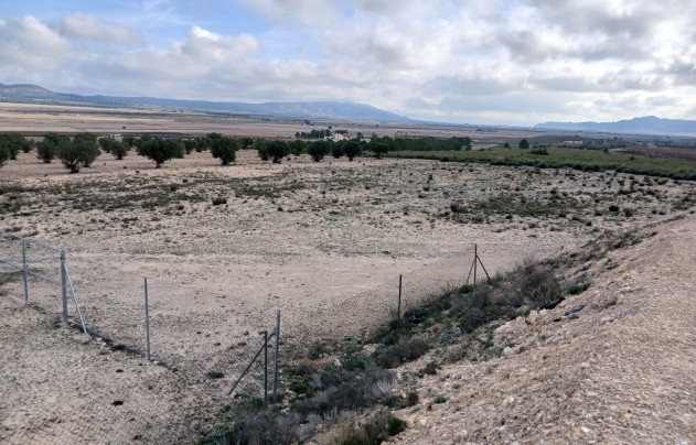 Resale - Land - Yecla