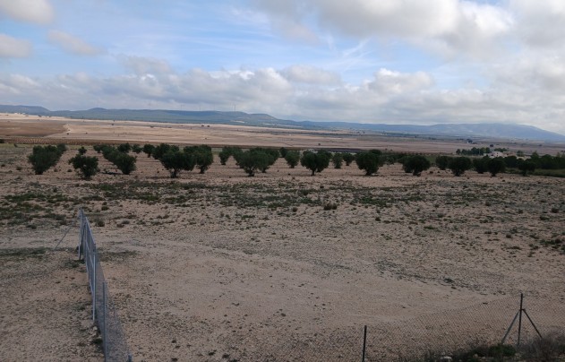 Resale - Land - Yecla