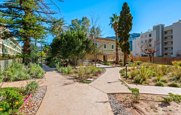 Revente - Apartment - Denia - Puerto