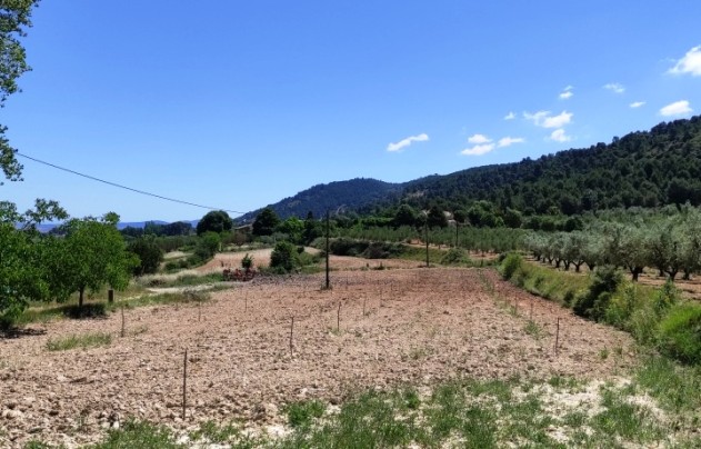 Resale - Villa - Bocairent