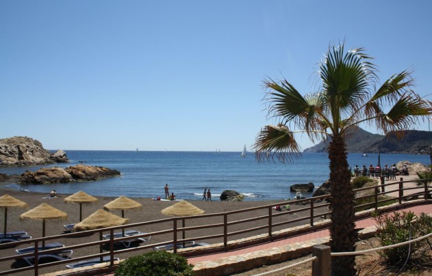 Obra nueva - Casa - La Union - centro