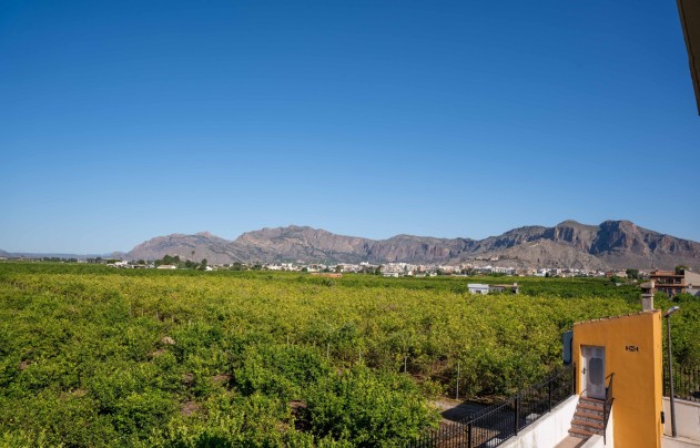 Herverkoop - Villa - Orihuela