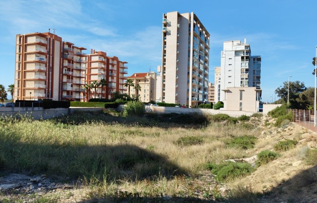 Revente - Land - Guardamar del Segura