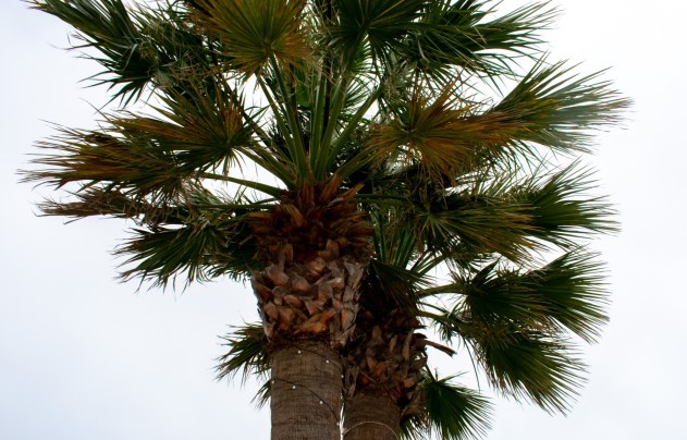 Resale - Villa - Cartagena - La Manga del Mar Menor