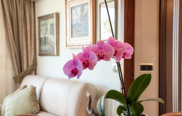 Resale - Apartment - Alicante - Center