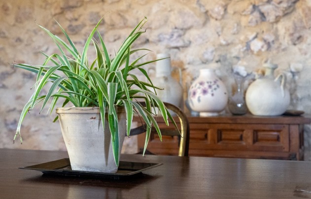 Reventa - Others - Castalla