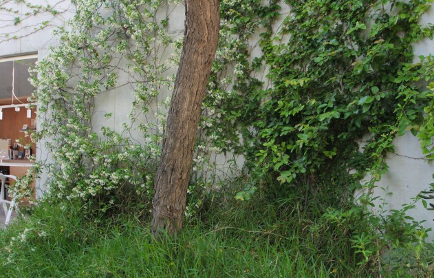 Reventa - Villa - San Vicente de Raspeig - San Vicente del Raspeig