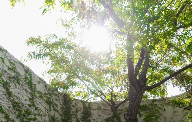 Reventa - Villa - San Vicente de Raspeig - San Vicente del Raspeig