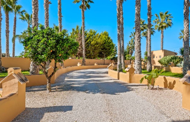 Reventa - Villa - Rafal