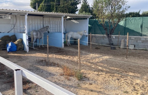 Resale - Villa - Crevillente