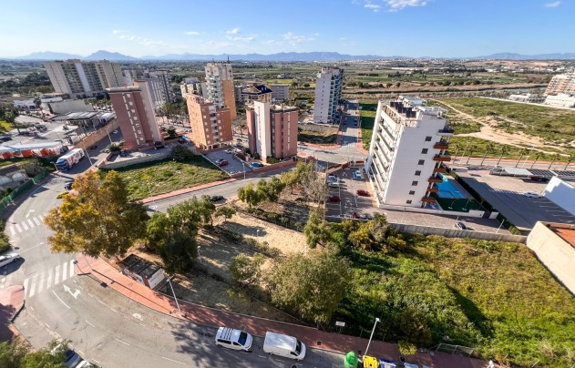 Reventa - Land - Guardamar del Segura