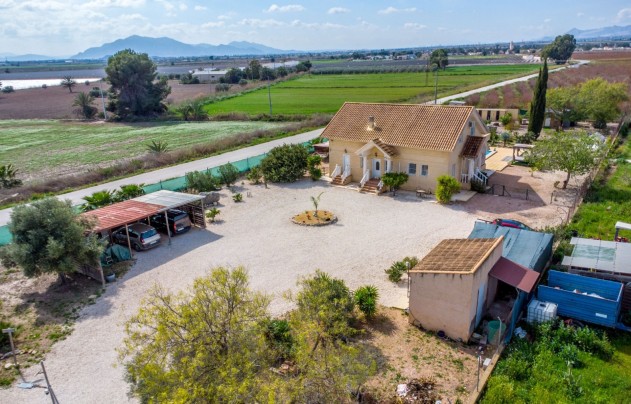 Resale - Villa - Crevillente