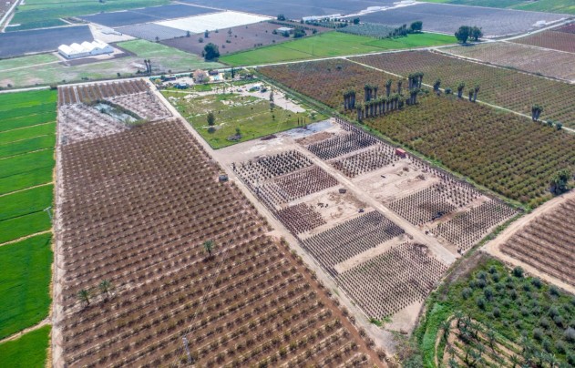 Resale - Villa - Crevillente