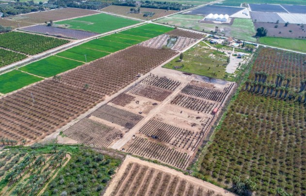 Resale - Villa - Crevillente