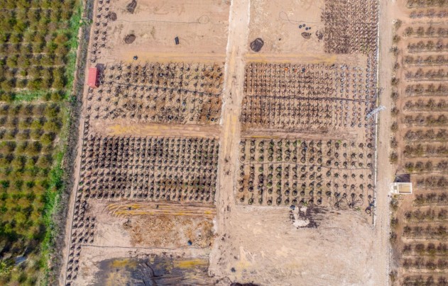 Resale - Villa - Crevillente