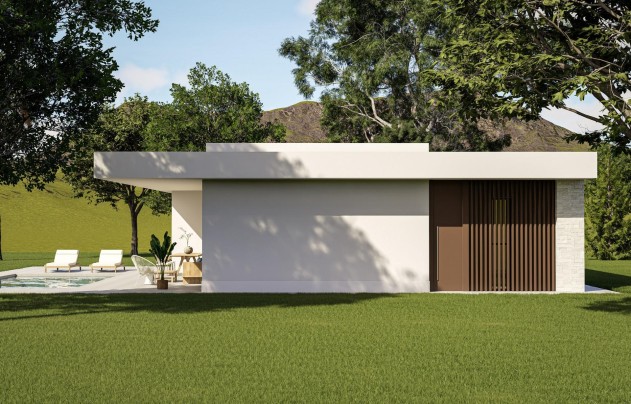 Nouvelle construction - Villa - Pinoso - Lel