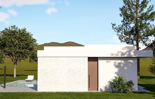 Nouvelle construction - Villa - Pinoso - Lel
