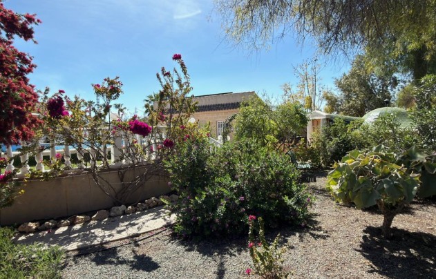 Reventa - Villa - Catral