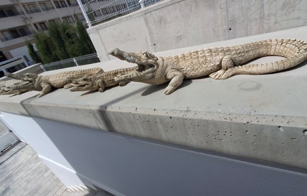 Resale - Villa - Orihuela - Entre Naranjos Vistabella Golf