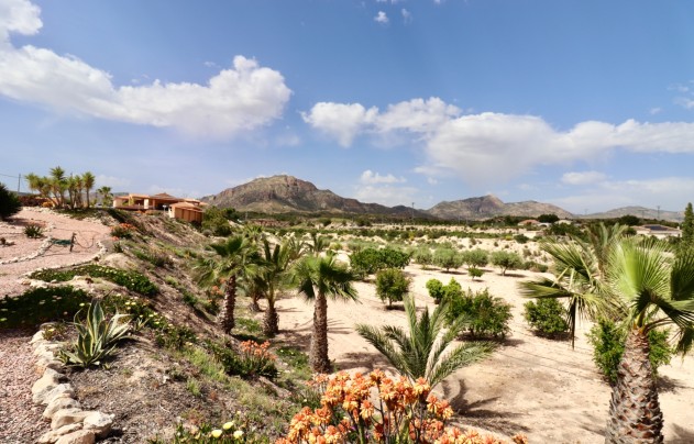 Resale - Villa - Albatera