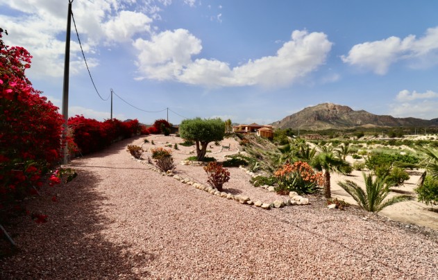 Resale - Villa - Albatera