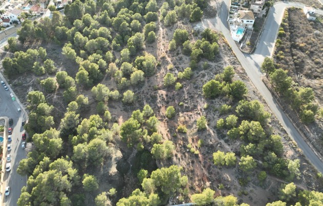 Obra nueva - Villa - Alfas del Pí - Escandinavia