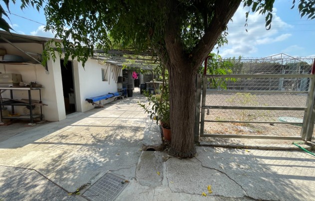 Resale - Villa - San Fulgencio - La Marina