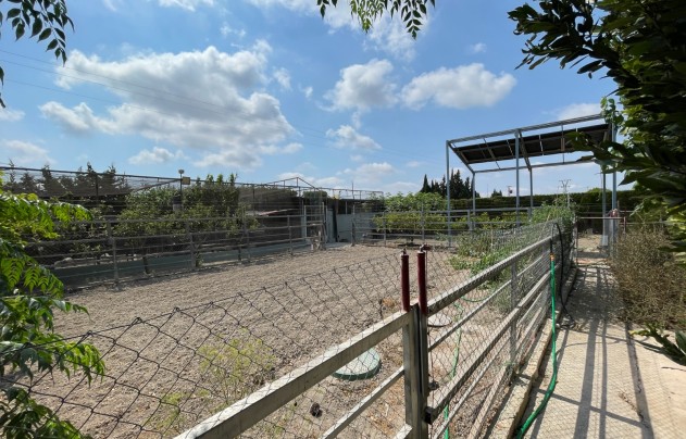 Resale - Villa - San Fulgencio - La Marina