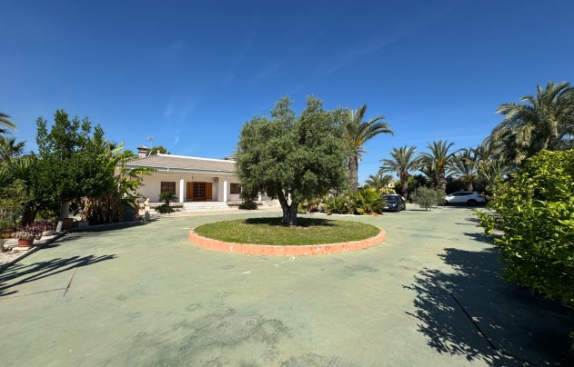 Revente - Villa - Elche - Valverde