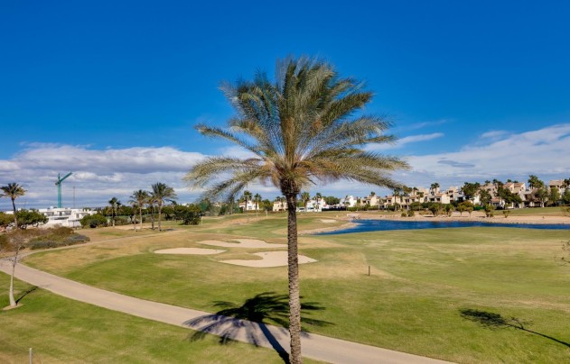 Obra nueva - Villa - Pilar de la Horadada - Roda Golf