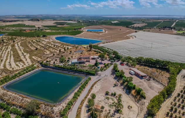 Reventa - Villa - San Miguel de Salinas - Torremendo