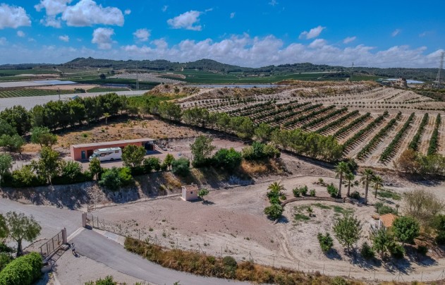 Reventa - Villa - San Miguel de Salinas - Torremendo