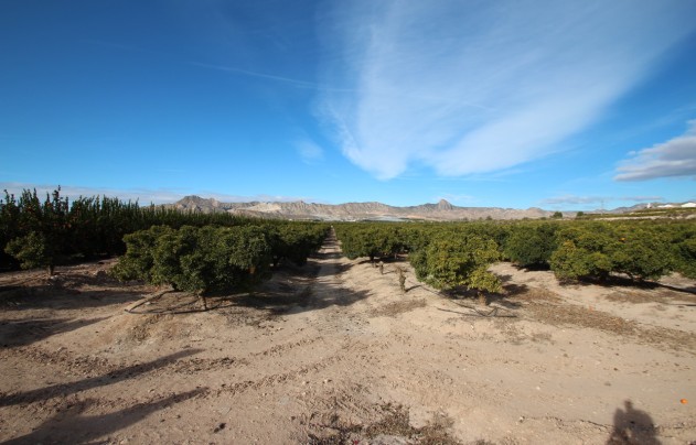 Resale - Villa - Murcia - Costa Blanca