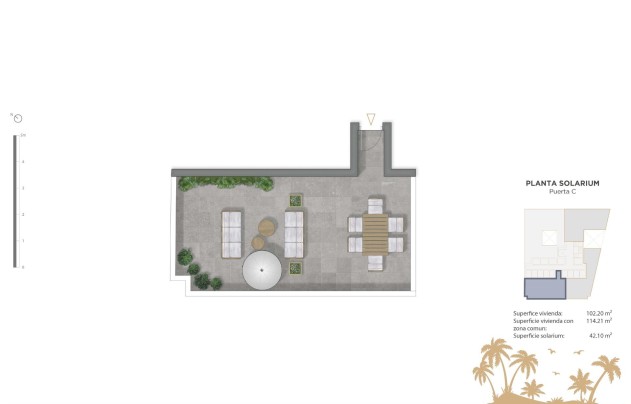 Nieuwbouw Woningen - Apartment - Guardamar del Segura - Pueblo