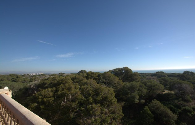 New Build - Apartment - Guardamar del Segura - Pueblo