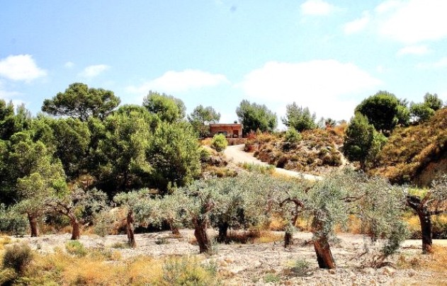 Resale - Villa - Murcia - Costa Blanca