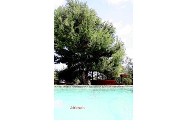 Resale - Villa - Murcia - Costa Blanca