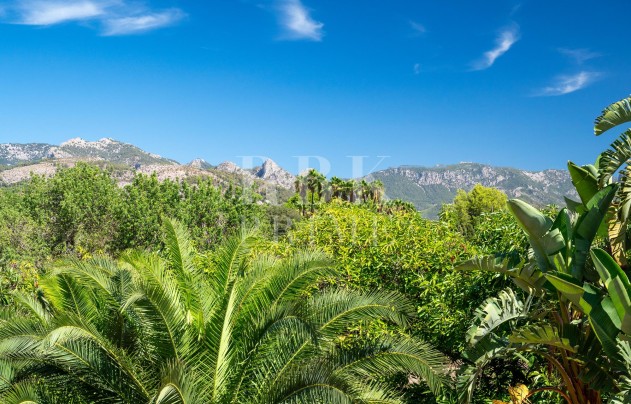 Resale - Villa - Palma - Palma rural