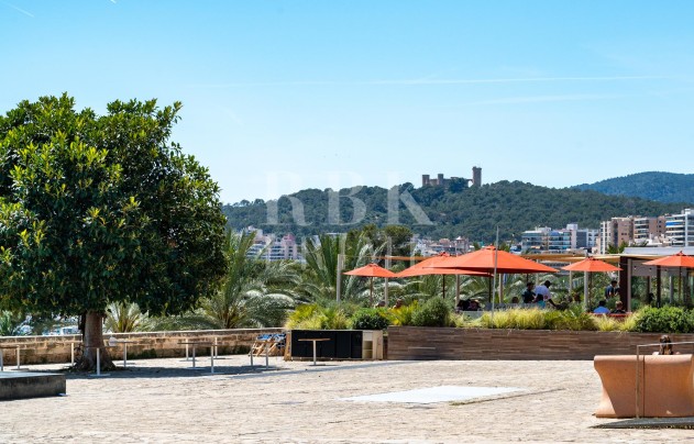 Resale - Apartment - Palma - Santa Catalina
